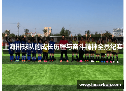 上海排球队的成长历程与奋斗精神全景纪实