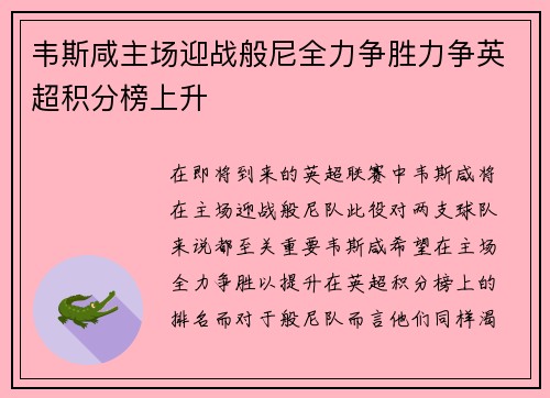 韦斯咸主场迎战般尼全力争胜力争英超积分榜上升